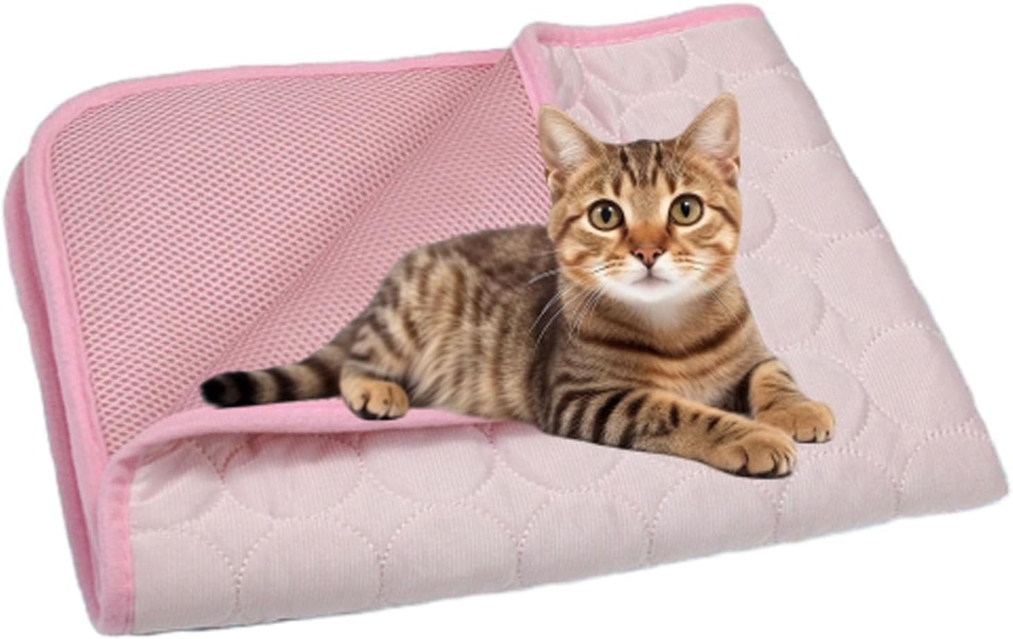 Cataccessori breathable ice silk mesh mat inside an Indian living room setting