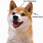 Size small dog hat showing ear hole placement