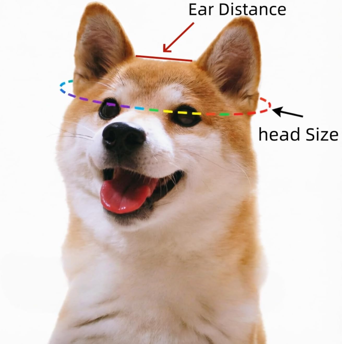 Size small dog hat showing ear hole placement