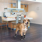 Side view of Pupteck paw protector socks for dogs
