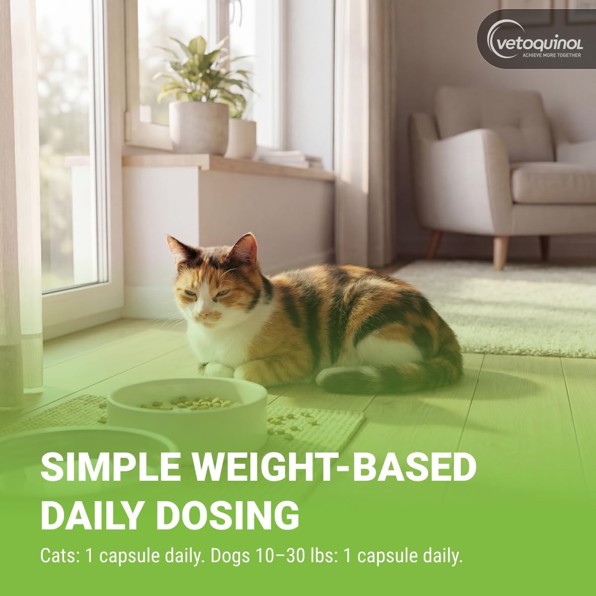 Close-up of Vetoquinol pet supplement highlighting the bioavailable natural triglyceride form feature