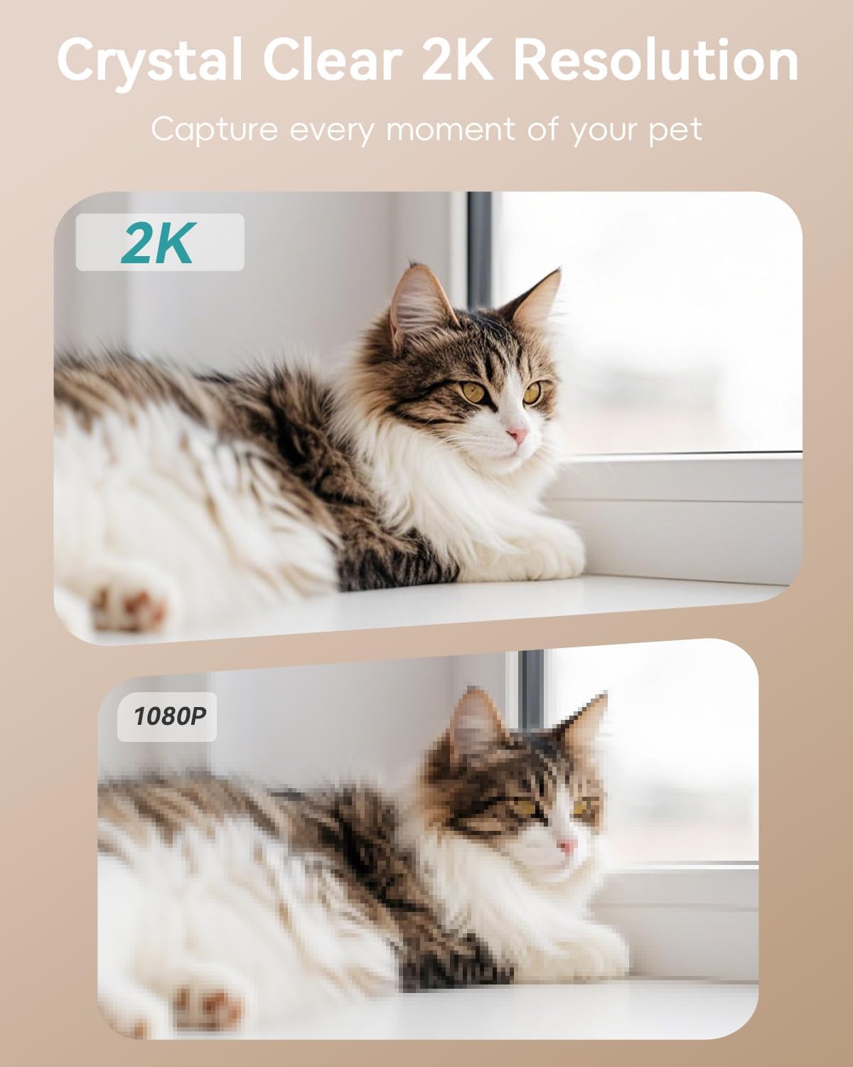 ZUMIMALL 2K HD cat and dog camera highlighting the dual band WiFi connectivity