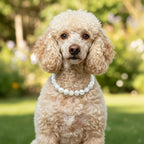 Vibrant pink and white rhinestone pet jewelry accessory showing the adjustable stainless steel chain close up.
