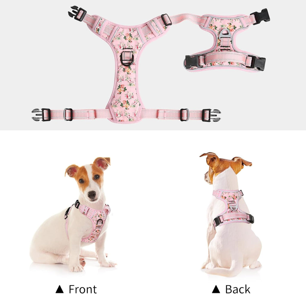 Dog wearing pink Timos reflective harness in outdoor setting