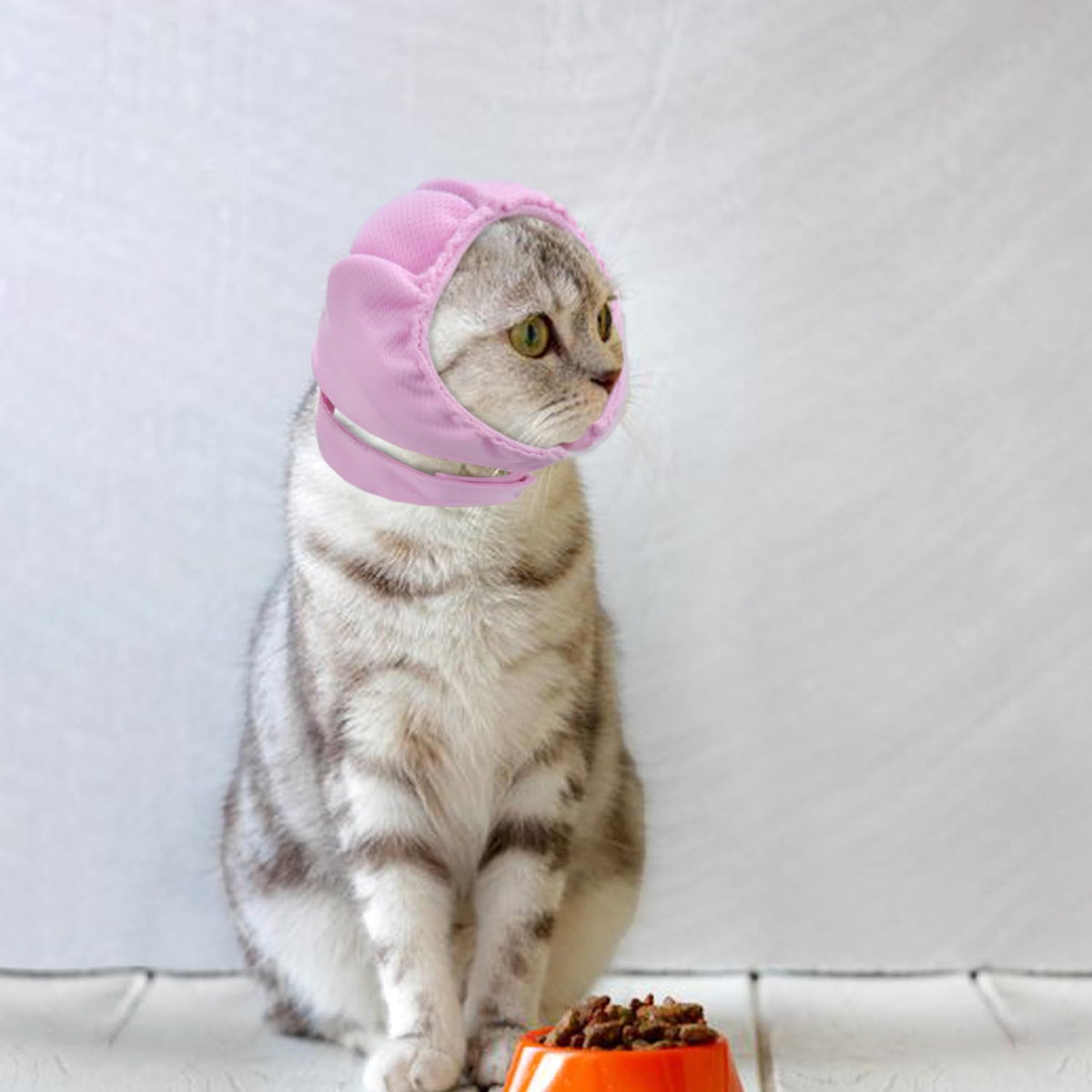 Side profile of cat in calming noise-reducing ear muff