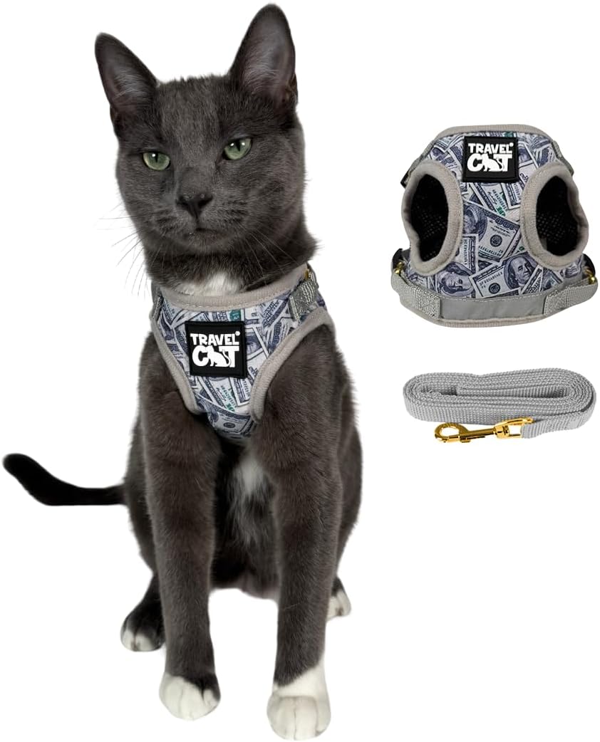 Travel Cat Harness and Leash Set - Adjustable Fit Mesh Cat Harness and Reflective Strap - Comfort Walking Vest for Kitten for Outdoor Walking, Hiking (Small, Orange) - Image 9