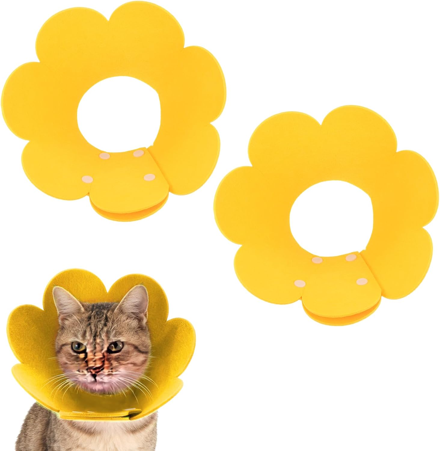 PETAXCELL medium sized flower pet cone protecting abdominal surgery wounds on a small cat.