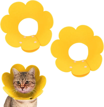 PETAXCELL medium sized flower pet cone protecting abdominal surgery wounds on a small cat.