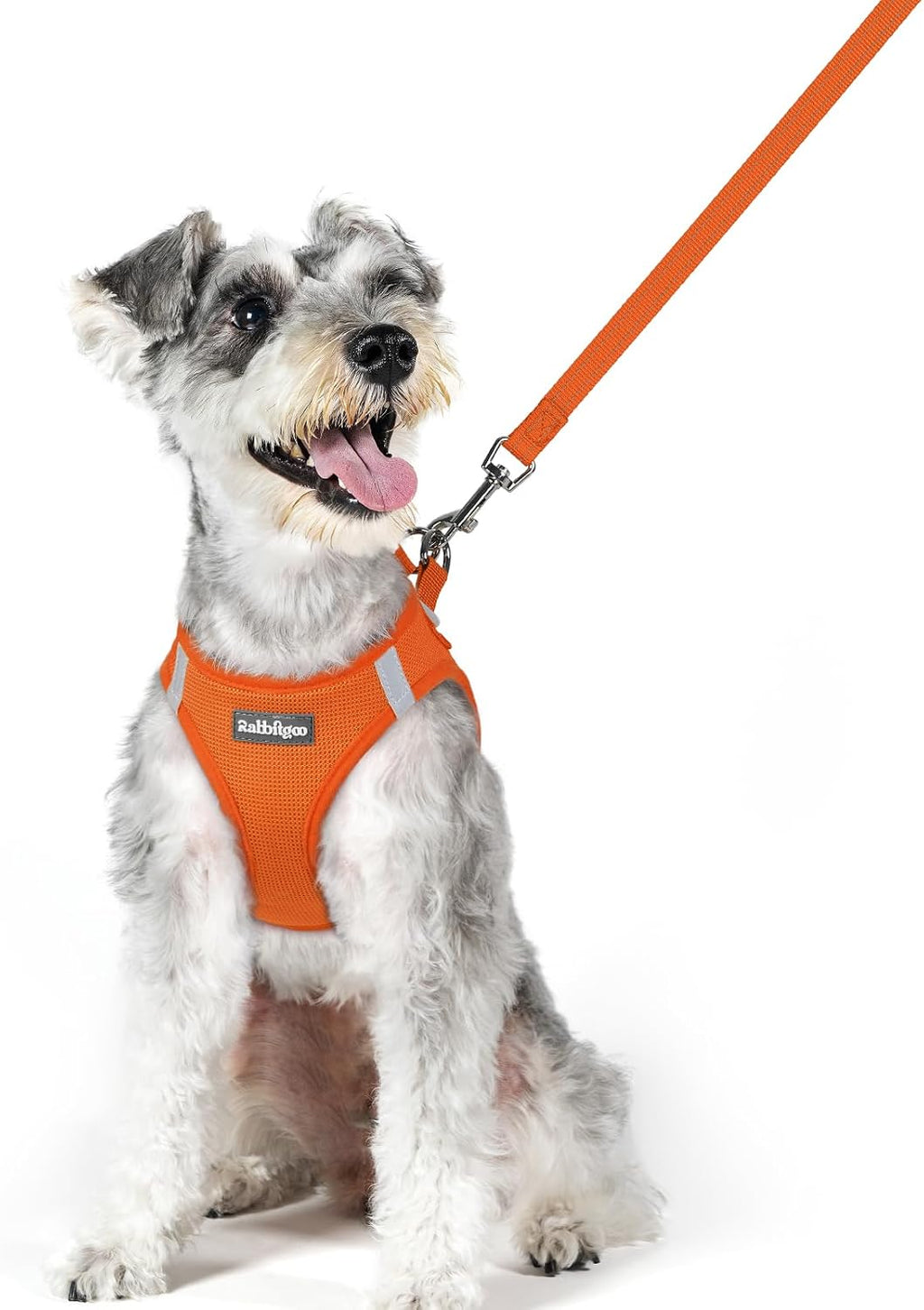 rabbitgoo Dog Harness Small Sized and Leash Set, Step in Soft Light Puppy Vest, Breathable Mesh Pet Harness, Reflective for Safe Easy Walking, Rose Red S - Image 14