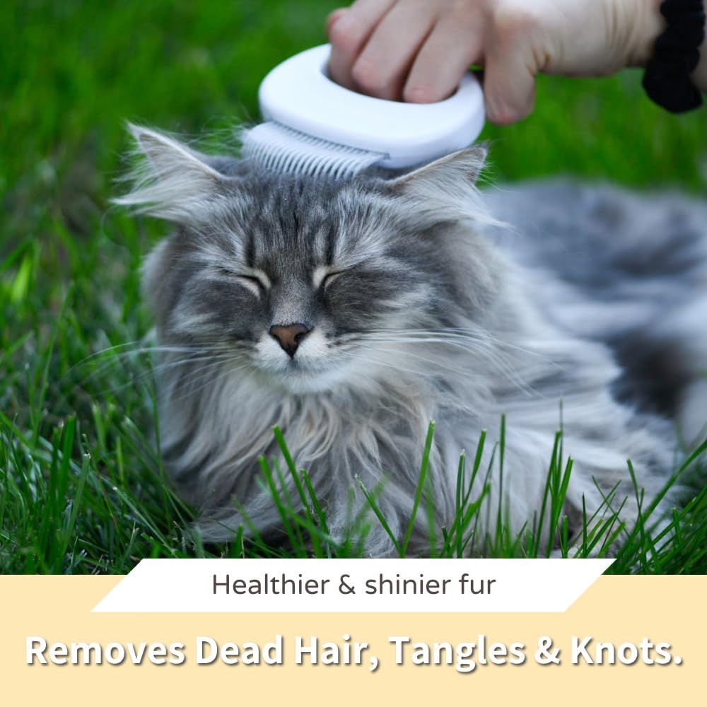 Leo's Paw 2-in-1 dematting tool for long and short hair dogs.