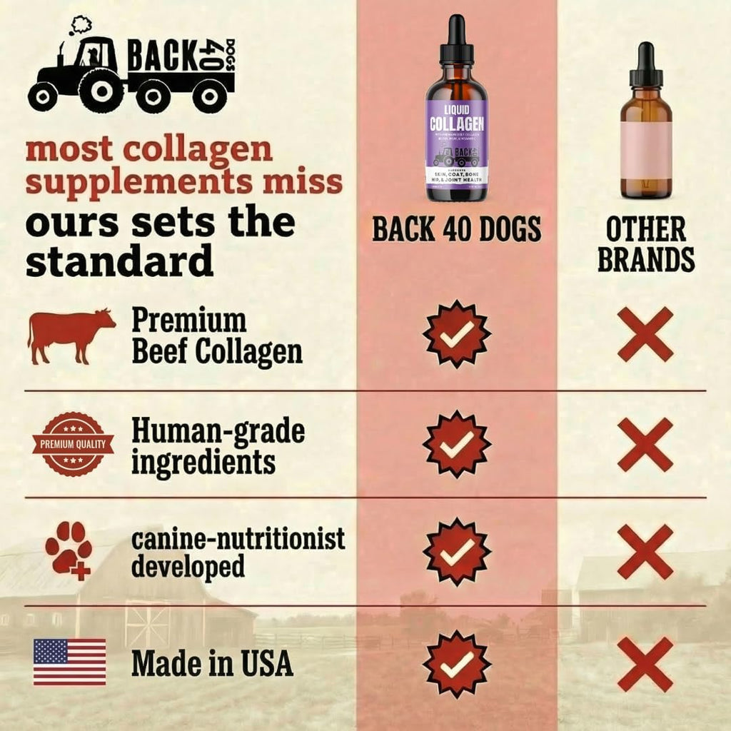 Back 40 Dogs premium grass-fed pet supplement pour application on dog food