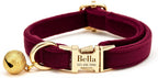Yijhpbc magenta pink customized pet collar fully opened packaging presentation