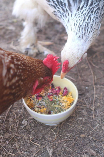 Natural lavender and chamomile nesting herbs for healthy hens