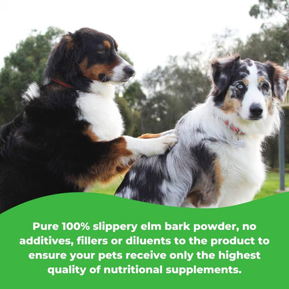 Natural prebiotic mucilage supplement for pets with exocrine pancreatic insufficiency