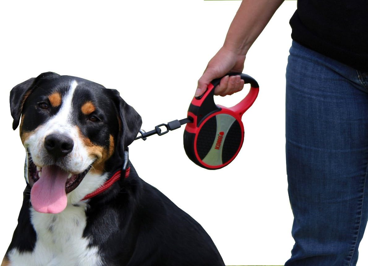 Blue Kong retractable dog leash extended 5 meter view