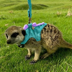 JNCWYP ferret apparel showing the secure metal D-ring attachment for the 120-centimeter traction leash.