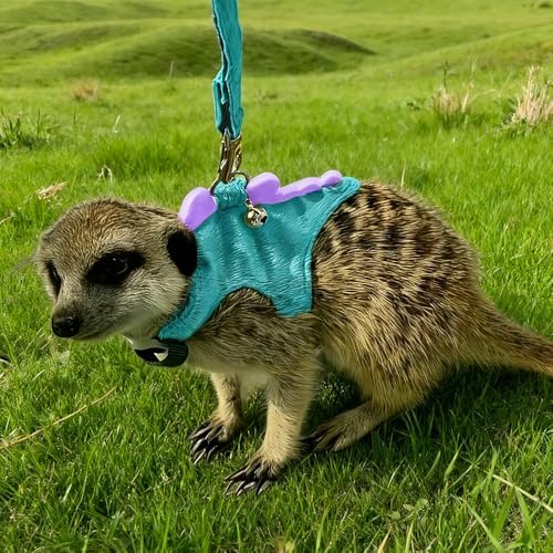 JNCWYP ferret apparel showing the secure metal D-ring attachment for the 120-centimeter traction leash.