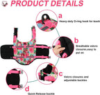 Premium imported pet swimwear showing heavy duty leash attachment ring