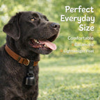 Waterproof screw-top identification capsule included with the kcrygogo pet bell set