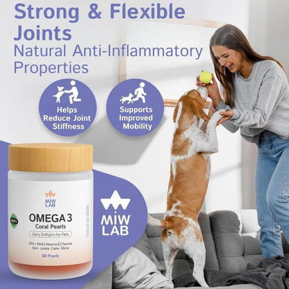 Wild-caught salmon fish oil softgel capsules shown alongside pet food bowl