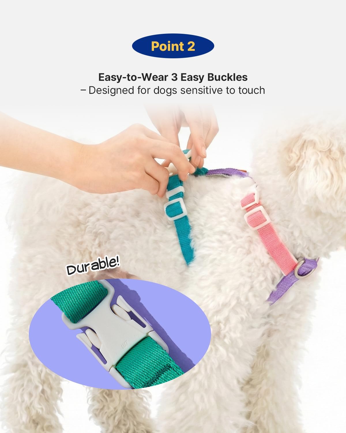 PETHROOM Wiggle Bear design pet travel gear set layout