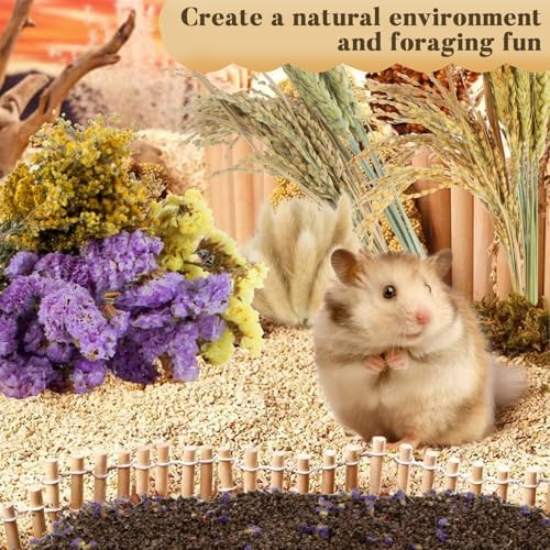Sukh 60Pcs Nature Flower Herb Hamster Bedding - Cage Enclosure Habitat Decor Mate Small Animal Natural Ear of Grain Sprays for Syrian Dwarf Hamsters Gerbils Rabbit Other Pets - Image 5