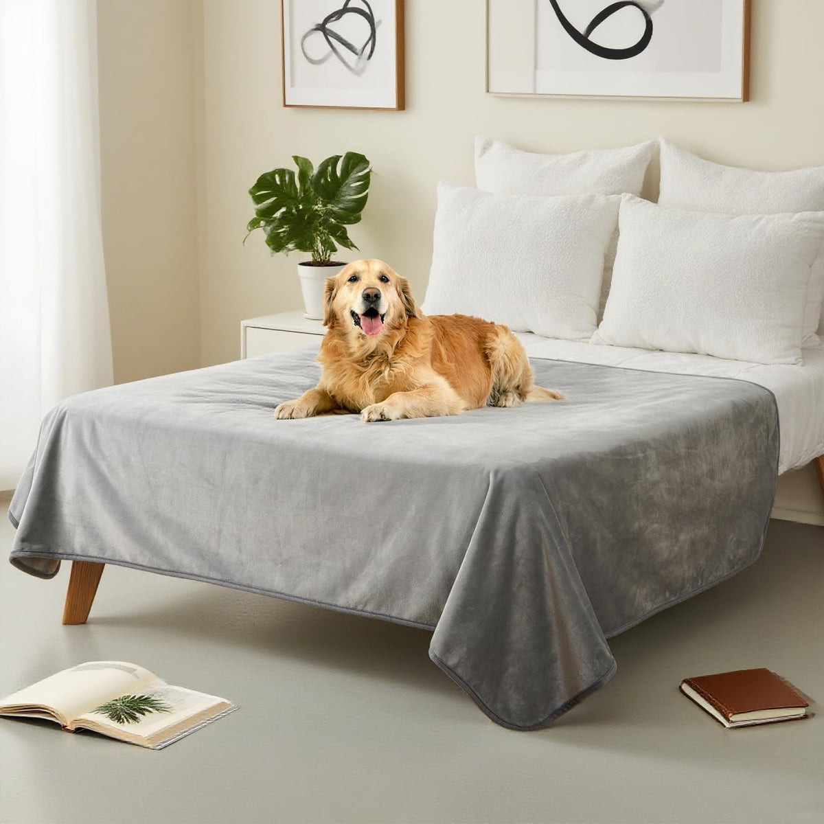 Premium imported USA pet blanket spread wide across a modern living room sofa bed