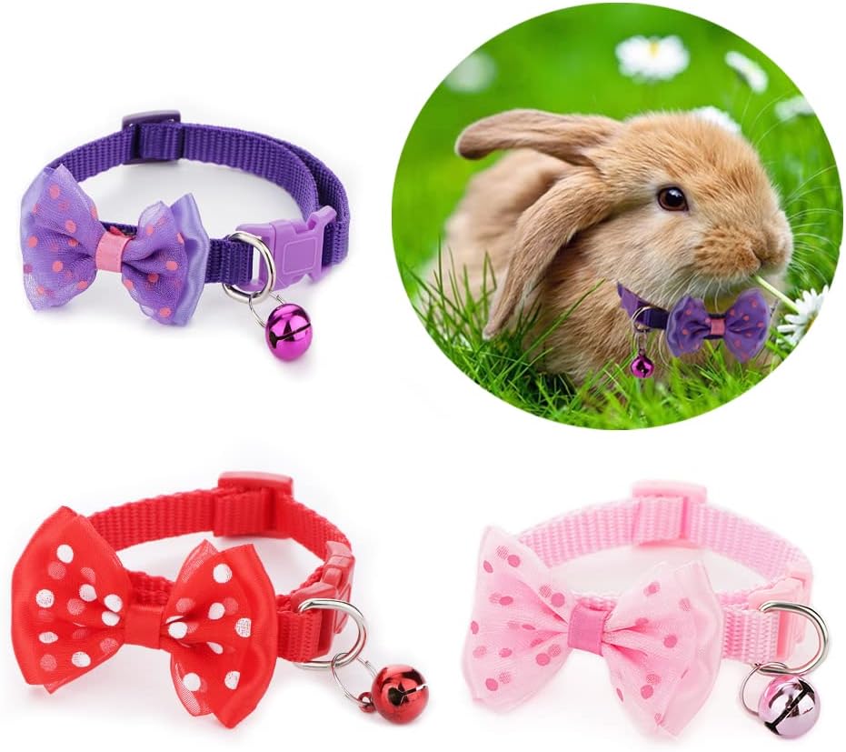 DQITJ guinea pig collar bow-knot design
