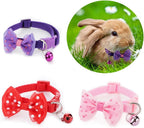 DQITJ guinea pig collar bow-knot design