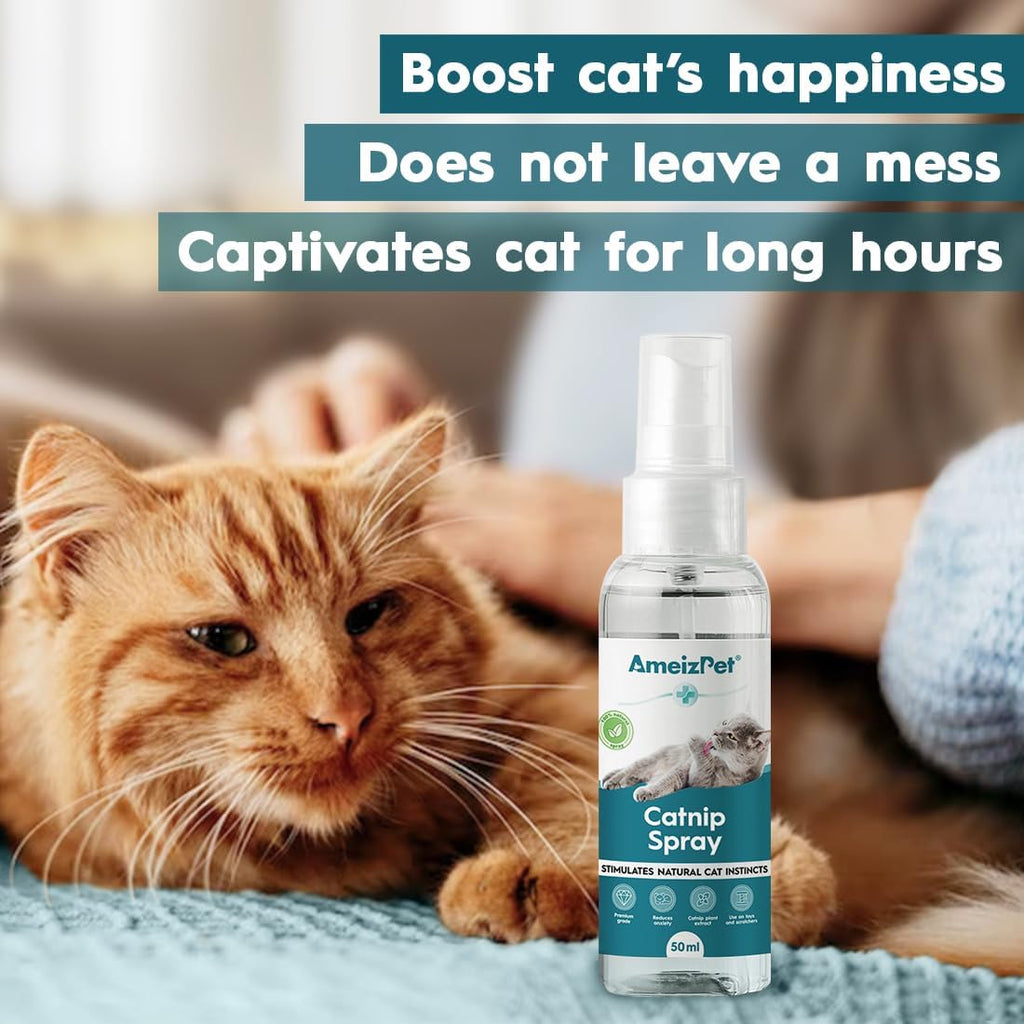 AmeizPet kitten behavior mist applied to plush interactive toys