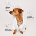 Ouai pet shampoo Mercer Street scent branding