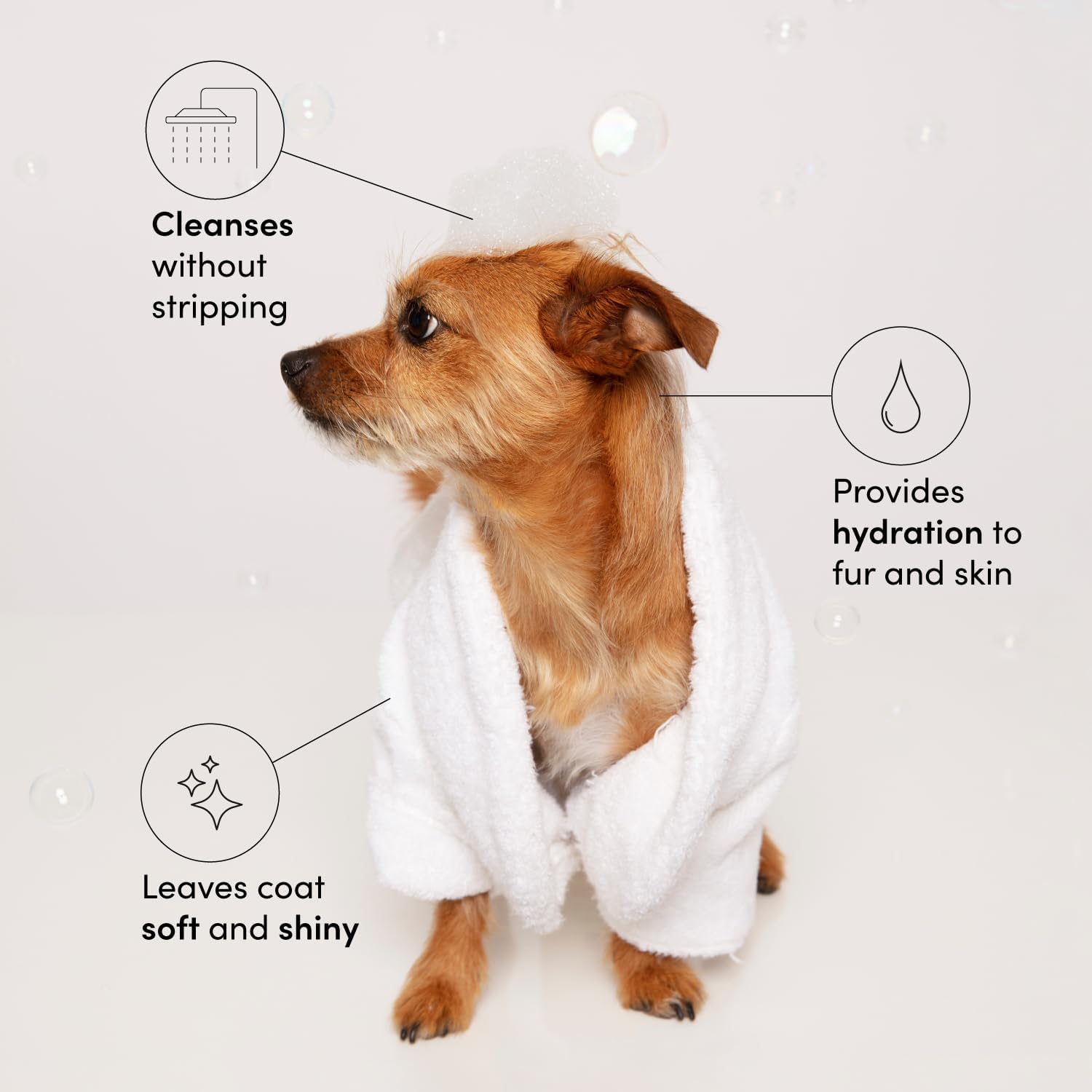 Ouai pet shampoo Mercer Street scent branding