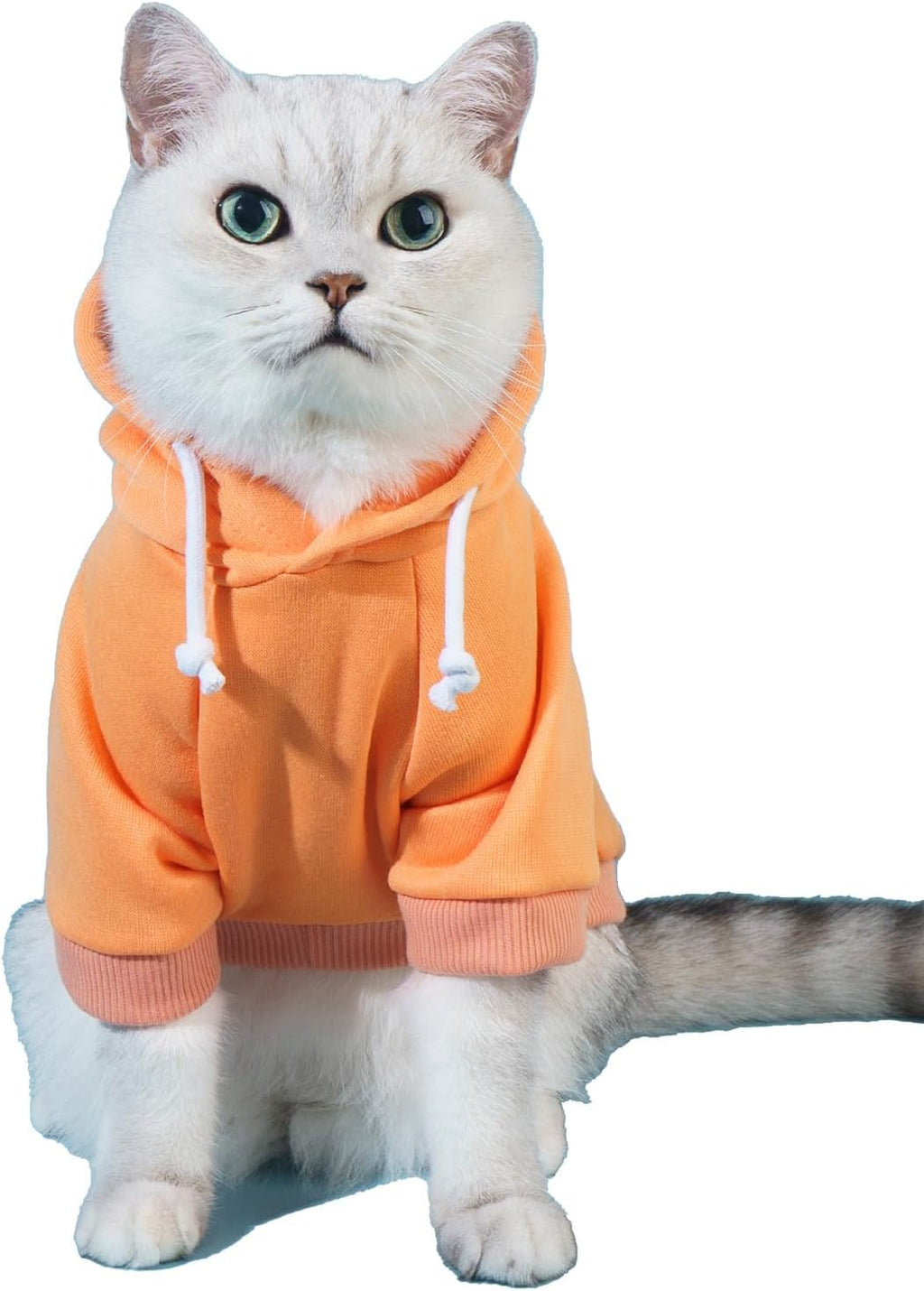 QWINEE medium size pet costume laid flat showing size proportions