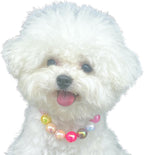 Kepudengen pet jewelry necklace showcasing the durable ABS plastic beads and handcrafted stringing layout