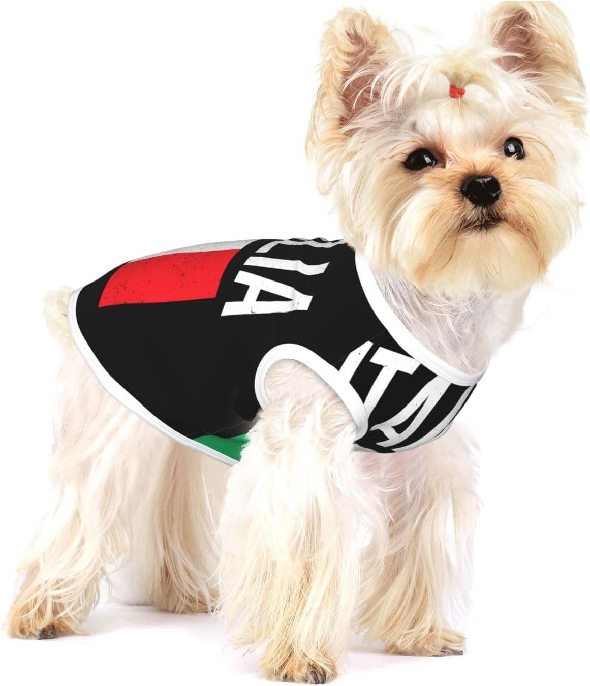 Small puppy in red vintage Uruguay flag pet vest