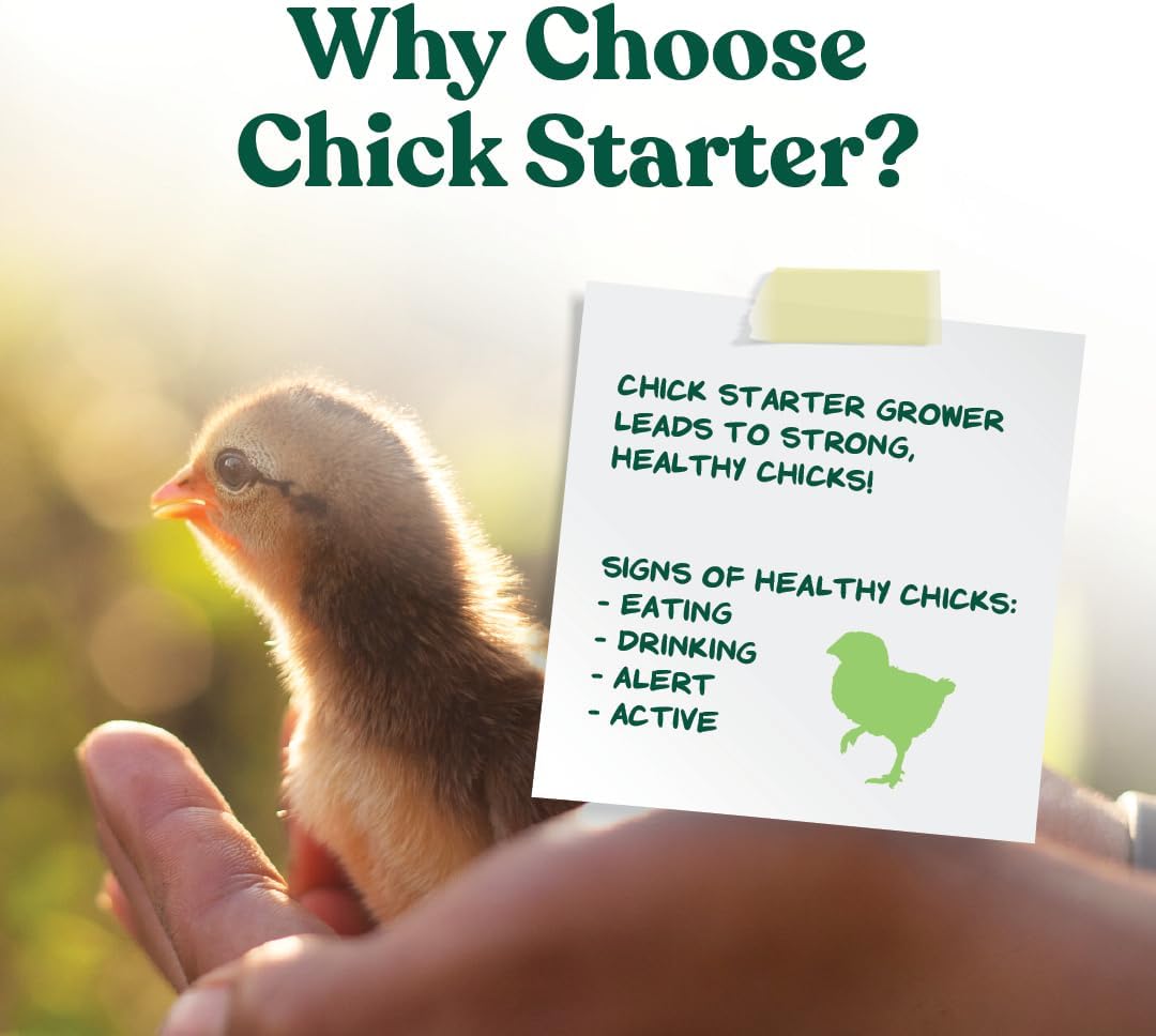 Close up of Manna Pro chick starter crumbles texture