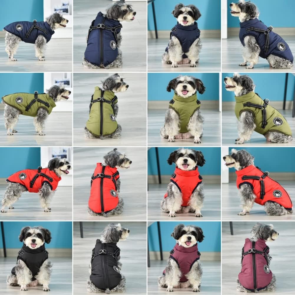 Detailed view of back zipper on dog coat
