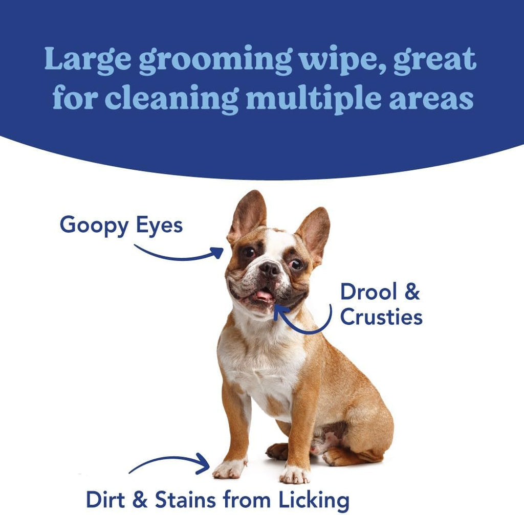 Angels' Eyes daily pet care wipes showing four by seven inch dimensions