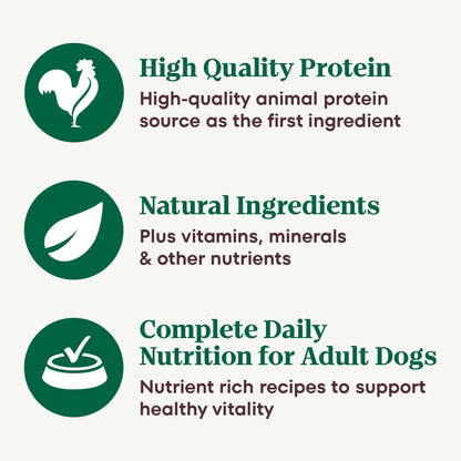 Wholesome grain free cuts in gravy dog food tray meal serving option