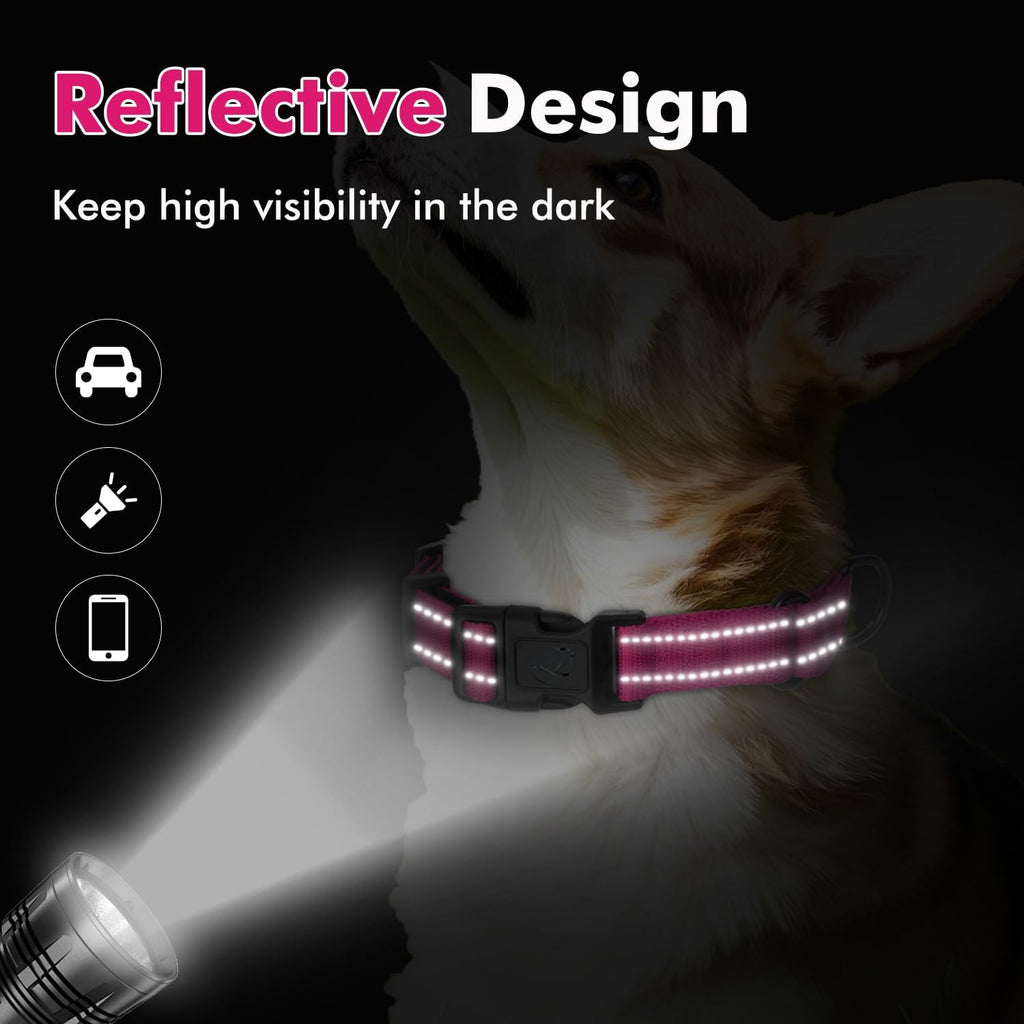 Adjustable neoprene padded pet collar for medium dogs back view.