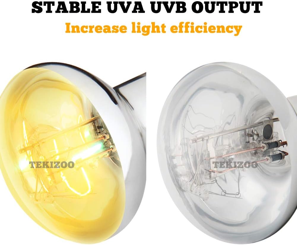 Tekizoo Super Sun lamp showing the standard screw base close up