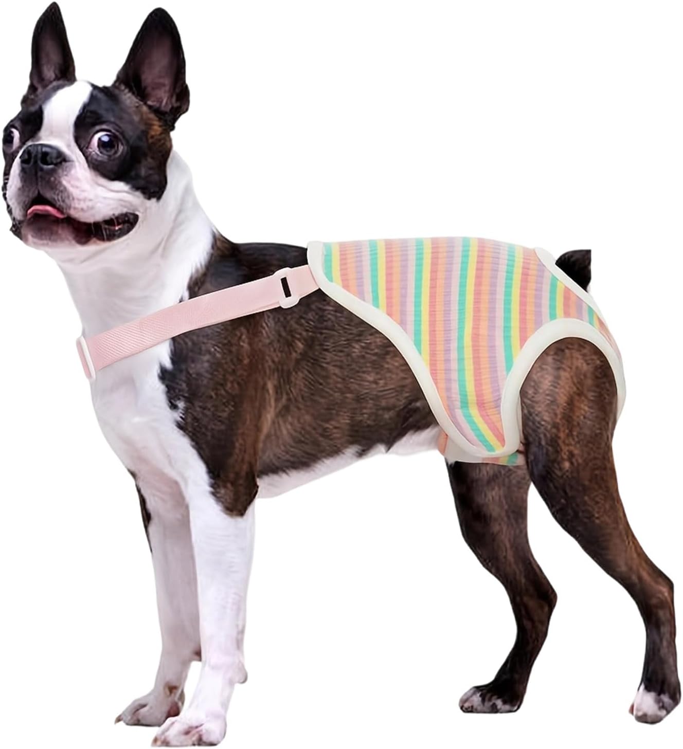 Dreamls pet diaper harness showing high quality hook and loop fasteners.
