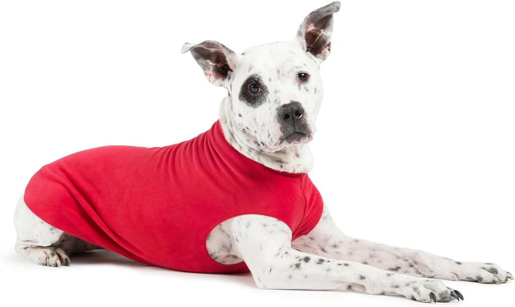 Gold Paw spandex blend elastic dog coat neck opening detail.