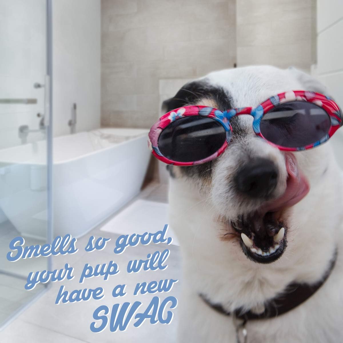 Natural ingredients graphic for Oliver's Choice pet wash