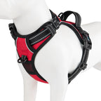 PHOEPET No Pull Dog Harness Medium Reflective Front Clip Vest with Handle, Adjustable 2 Metal Rings 2 Buckles(M, Grey) - Image 14