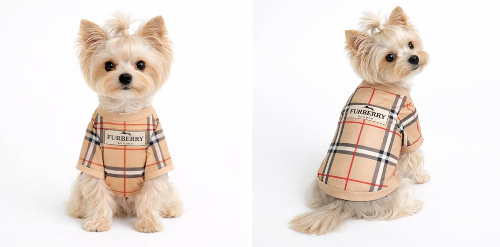 Premium quality designer dog t-shirt for daily wear