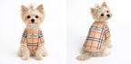Premium quality designer dog t-shirt for daily wear