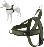 Plutus Pet No Pull Dog Harness with Breathable Mesh Padded, Adjustable Reflective Escape Proof Dog Harness, Quick Fit Dog Vest Harness for Small Medium Large Dogs(M, Beige) - Image 13