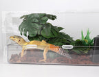 Woledoe artificial plant styled in bearded dragon enclosure