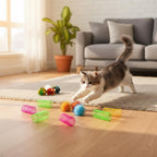 Full collection of thirty pieces of imported non-toxic cat toys